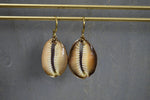 Load image into Gallery viewer, Large Light Purple Cowrie Shell Earrings - We Love Brass
