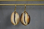 Load image into Gallery viewer, Large Light Purple Cowrie Shell Earrings - We Love Brass
