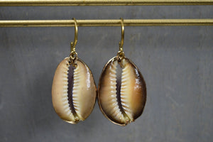 Large Light Purple Cowrie Shell Earrings - We Love Brass