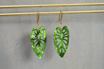 Cargar imagen en el visor de la galería, Monstera Leaf Earrings - We Love Brass
