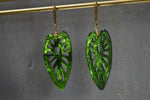 Load image into Gallery viewer, Monstera Leaf Earrings - We Love Brass
