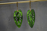 Cargar imagen en el visor de la galería, Monstera Leaf Earrings - We Love Brass
