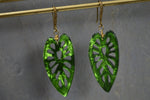 Load image into Gallery viewer, Monstera Leaf Earrings - We Love Brass
