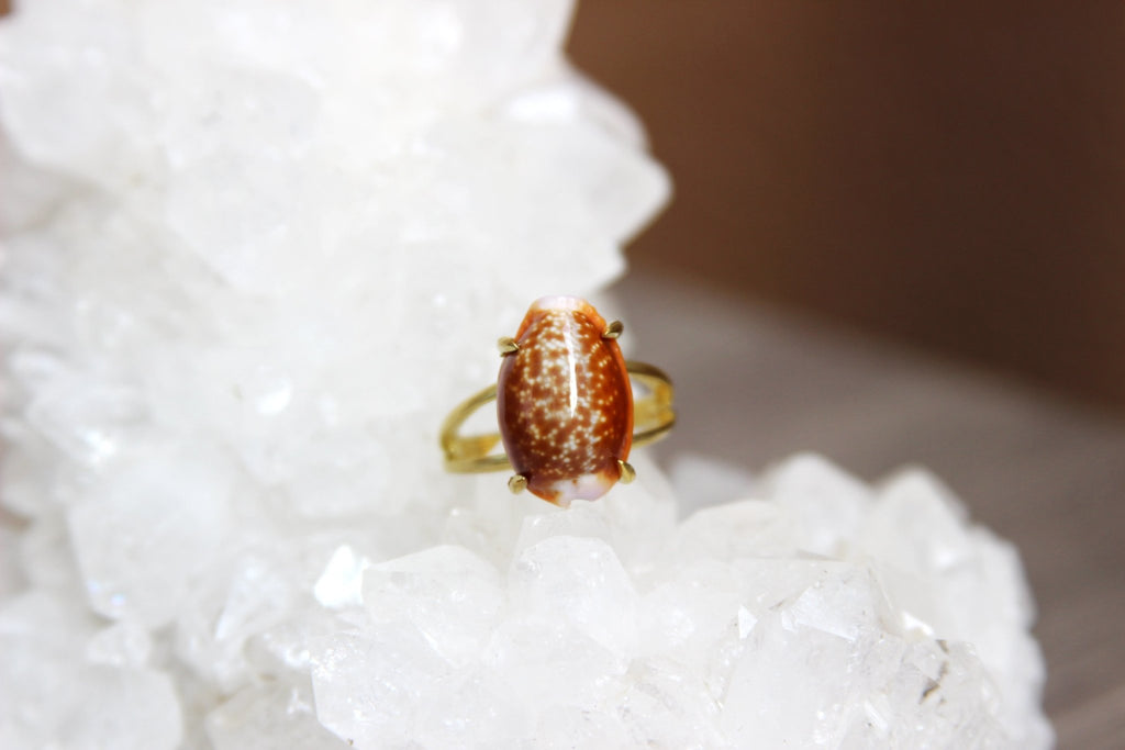 Orange Cowrie Shell Brass Ring - We Love Brass