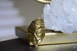 Load image into Gallery viewer, Pompei Brass Cameo Ring - We Love Brass
