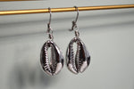 Load image into Gallery viewer, Rhodium Plated Cowrie Shell Earrings - We Love Brass

