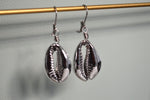 Load image into Gallery viewer, Rhodium Plated Cowrie Shell Earrings - We Love Brass
