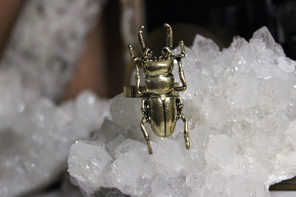 Scarab Beetle Ring - Golden Treasure Box