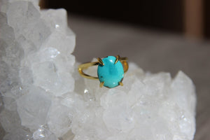 Sierra Nevada Turquoise Brass Ring - We Love Brass