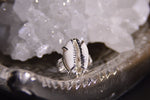 Load image into Gallery viewer, Silver Cowrie Shell Ring - We Love Brass
