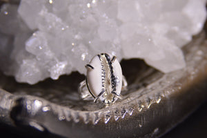 Silver Cowrie Shell Ring - We Love Brass