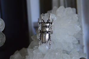 Silver Plated Copper Scarab Ring - We Love Brass