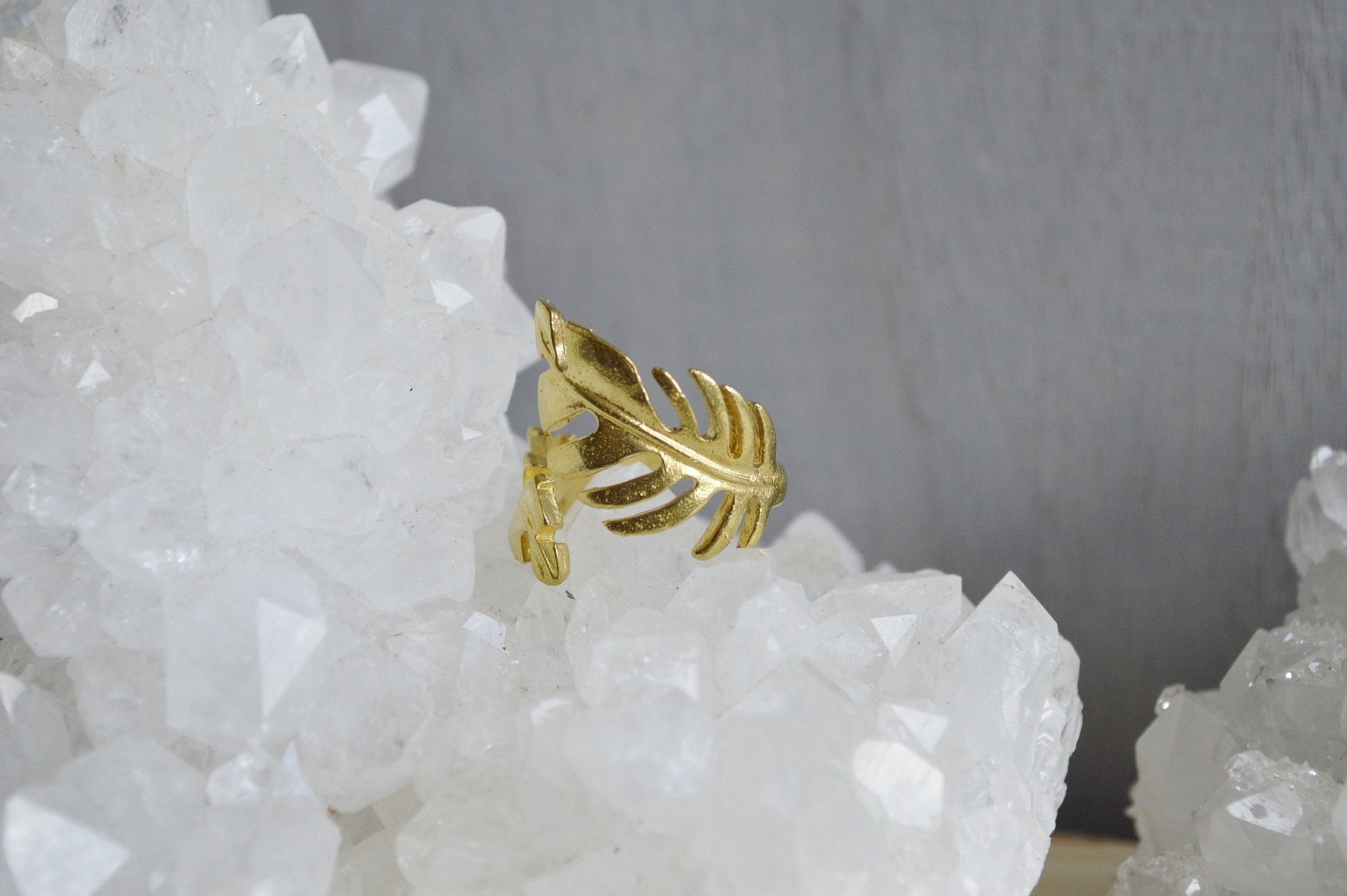 So Vine Brass Leaf Ring - We Love Brass