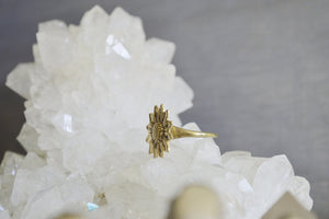 Sunny Brass Ring - We Love Brass