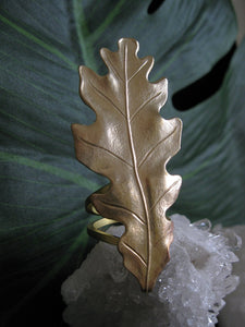 Swamp Oak Ring - Golden Treasure Box