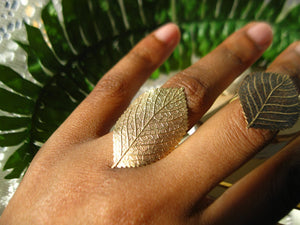 Sweet Birch Leaf Ring - Golden Treasure Box