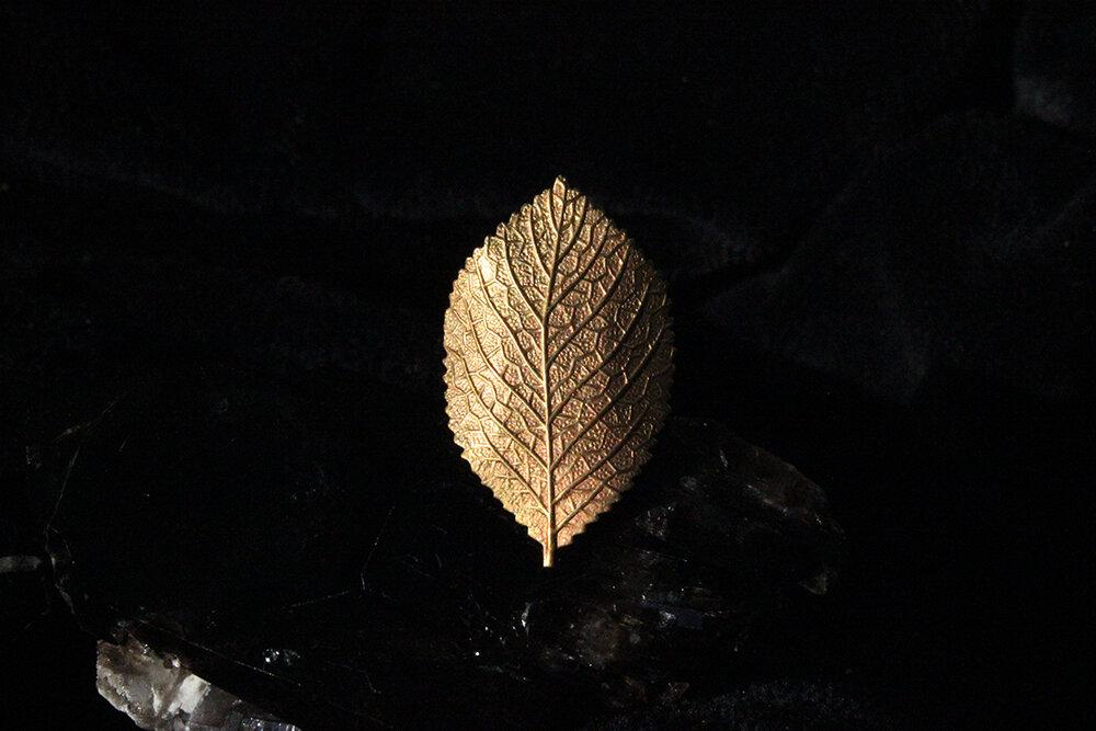 Sweet Birch Leaf Ring - Golden Treasure Box
