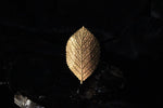 Cargar imagen en el visor de la galería, Sweet Birch Leaf Ring - Golden Treasure Box

