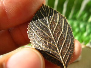 Sweet Birch Leaf Ring - Golden Treasure Box