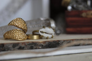 Tentacles Brass Cowrie Ring Set - We Love Brass