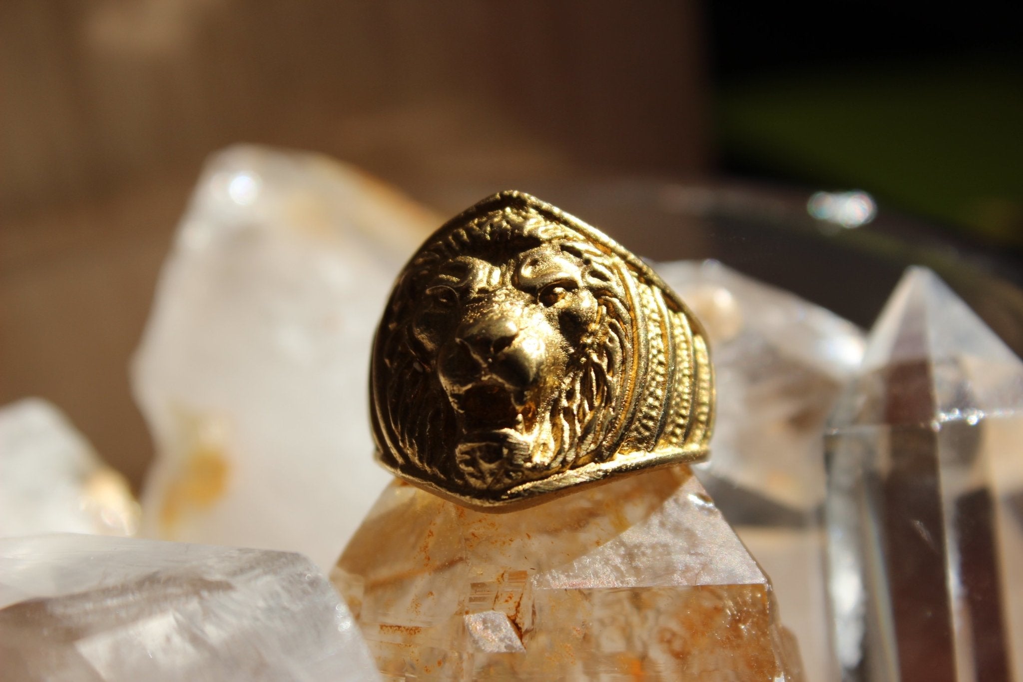 The Lion's Share Brass Ring - Golden Treasure Box