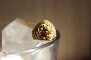 The Lion's Share Brass Ring - Golden Treasure Box