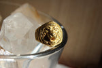 Cargar imagen en el visor de la galería, The Lion&#39;s Share Brass Ring - Golden Treasure Box
