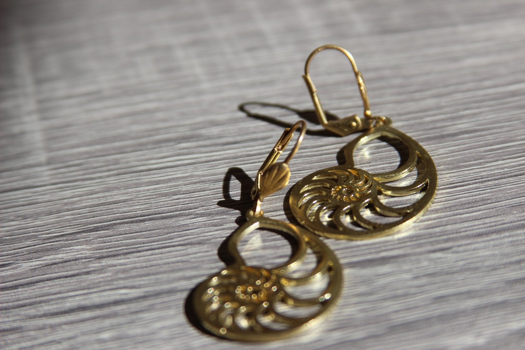 The Nautilus Brass Earrings - We Love Brass