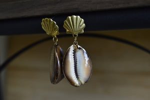 Tiger Cowrie Clam Shell Earrings - We Love Brass