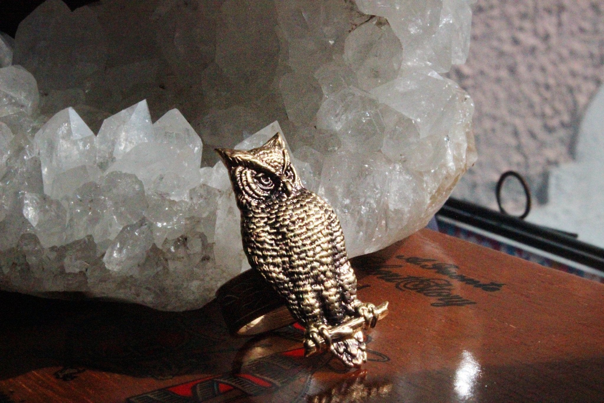 Who is there? Brass Owl Ring - Golden Treasure Box