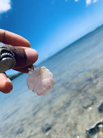 Cargar imagen en el visor de la galería, With Aloha Brass Seashell Earrings - We Love Brass
