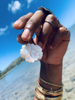 Cargar imagen en el visor de la galería, With Aloha Brass Seashell Earrings - We Love Brass
